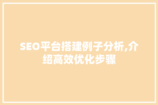 SEO平台搭建例子分析,介绍高效优化步骤