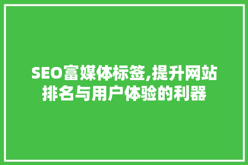 SEO富媒体标签,提升网站排名与用户体验的利器