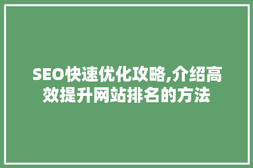 SEO快速优化攻略,介绍高效提升网站排名的方法