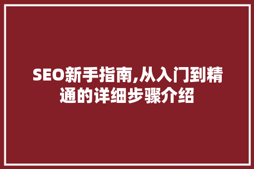 SEO新手指南,从入门到精通的详细步骤介绍