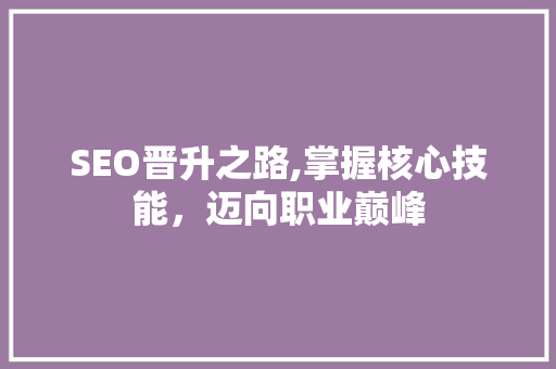 SEO晋升之路,掌握核心技能，迈向职业巅峰