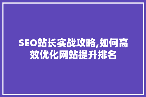 SEO站长实战攻略,如何高效优化网站提升排名