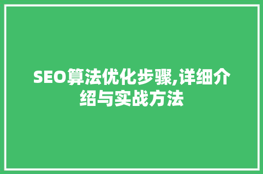 SEO算法优化步骤,详细介绍与实战方法