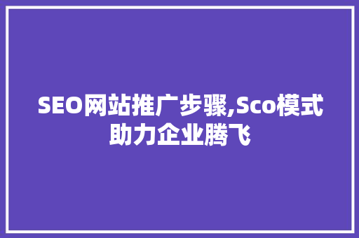 SEO网站推广步骤,Sco模式助力企业腾飞