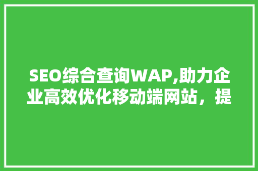 SEO综合查询WAP,助力企业高效优化移动端网站，提升用户体验