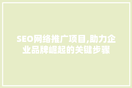 SEO网络推广项目,助力企业品牌崛起的关键步骤