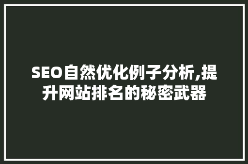 SEO自然优化例子分析,提升网站排名的秘密武器