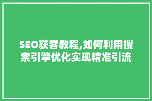 SEO获客教程,如何利用搜索引擎优化实现精准引流