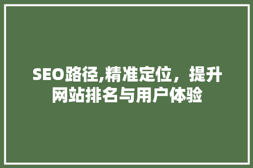 SEO路径,精准定位，提升网站排名与用户体验
