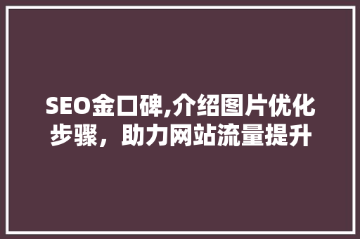 SEO金口碑,介绍图片优化步骤，助力网站流量提升