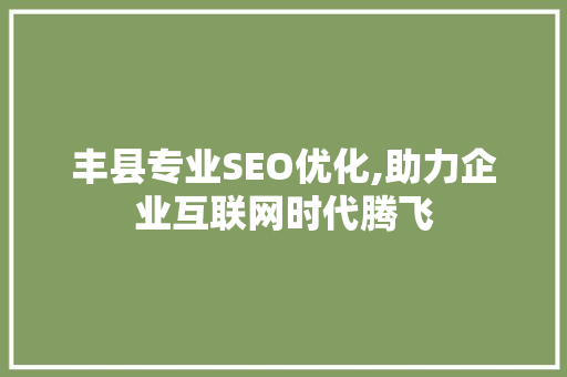 丰县专业SEO优化,助力企业互联网时代腾飞