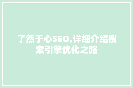 了然于心SEO,详细介绍搜索引擎优化之路