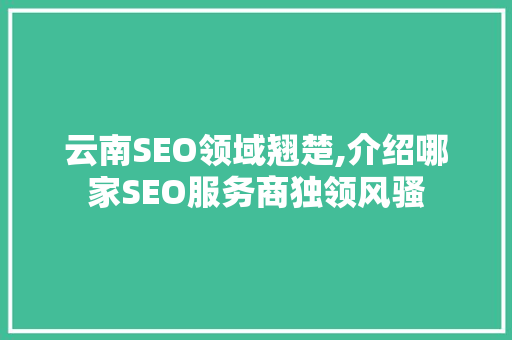 云南SEO领域翘楚,介绍哪家SEO服务商独领风骚