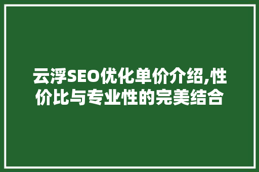 云浮SEO优化单价介绍,性价比与专业性的完美结合