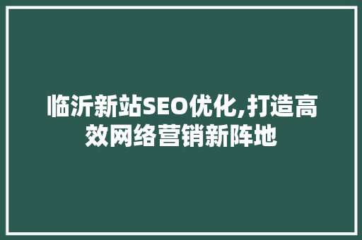 临沂新站SEO优化,打造高效网络营销新阵地