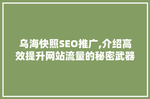 乌海快照SEO推广,介绍高效提升网站流量的秘密武器