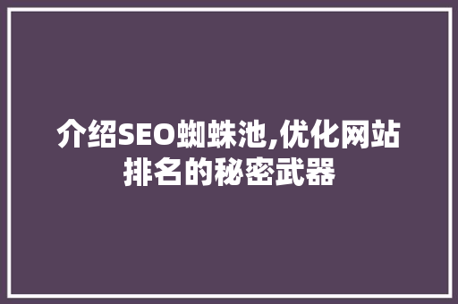 介绍SEO蜘蛛池,优化网站排名的秘密武器