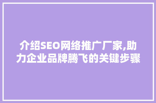 介绍SEO网络推广厂家,助力企业品牌腾飞的关键步骤