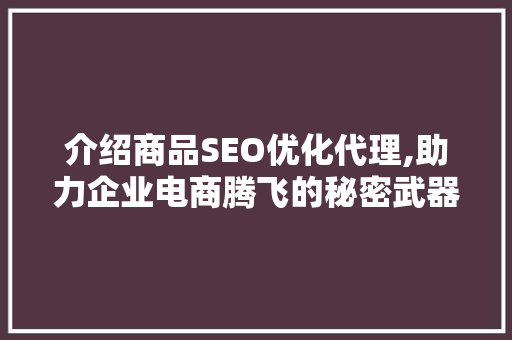 介绍商品SEO优化代理,助力企业电商腾飞的秘密武器