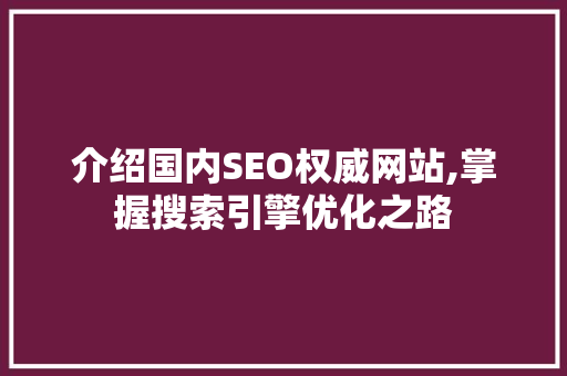 介绍国内SEO权威网站,掌握搜索引擎优化之路