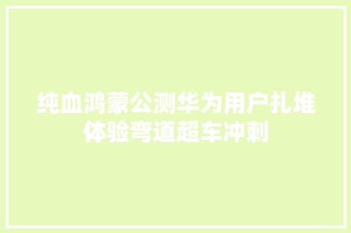 纯血鸿蒙公测华为用户扎堆体验弯道超车冲刺