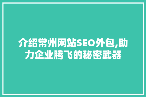 介绍常州网站SEO外包,助力企业腾飞的秘密武器