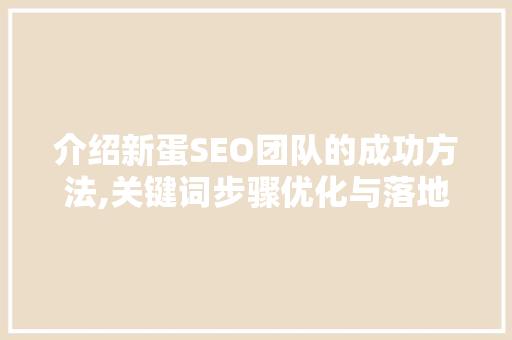 介绍新蛋SEO团队的成功方法,关键词步骤优化与落地执行