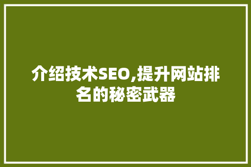 介绍技术SEO,提升网站排名的秘密武器