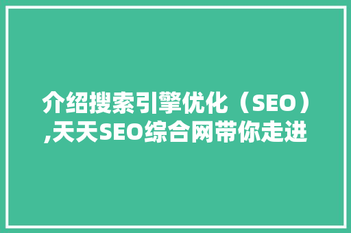 介绍搜索引擎优化（SEO）,天天SEO综合网带你走进优化之路