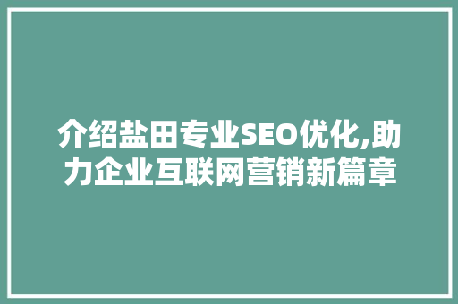 介绍盐田专业SEO优化,助力企业互联网营销新篇章