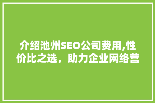 介绍池州SEO公司费用,性价比之选，助力企业网络营销腾飞
