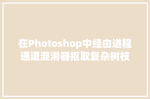 在Photoshop中经由进程通道混淆器抠取复杂树枝