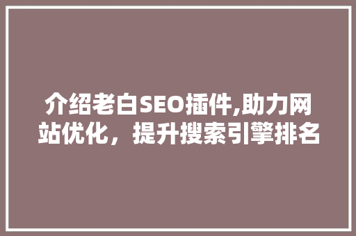 介绍老白SEO插件,助力网站优化，提升搜索引擎排名的利器