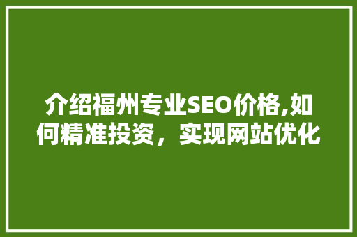 介绍福州专业SEO价格,如何精准投资，实现网站优化最大化效益