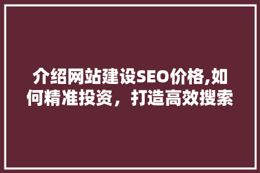 介绍网站建设SEO价格,如何精准投资，打造高效搜索引擎优化步骤
