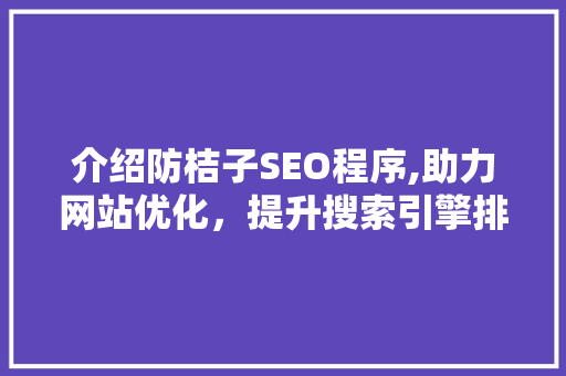 介绍防桔子SEO程序,助力网站优化，提升搜索引擎排名