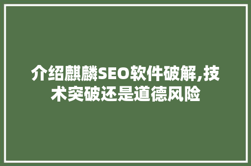 介绍麒麟SEO软件破解,技术突破还是道德风险