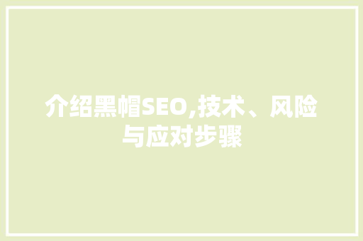 介绍黑帽SEO,技术、风险与应对步骤