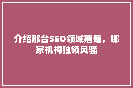 介绍邢台SEO领域翘楚，哪家机构独领风骚