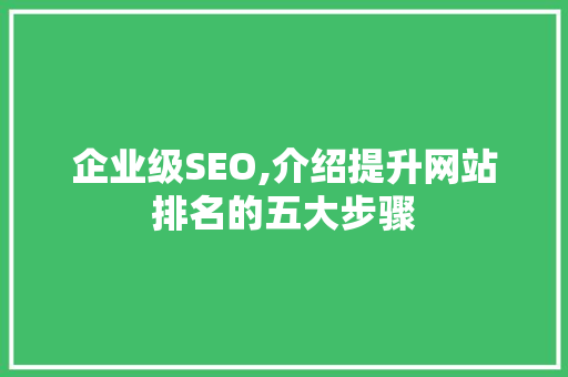 企业级SEO,介绍提升网站排名的五大步骤