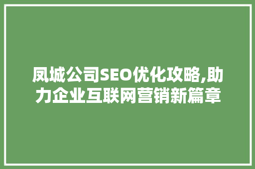 凤城公司SEO优化攻略,助力企业互联网营销新篇章