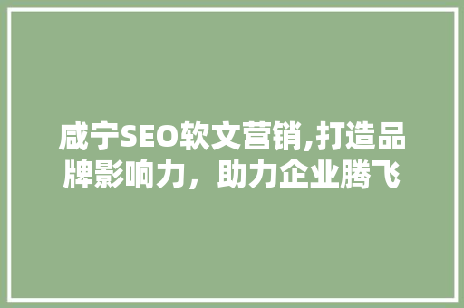 咸宁SEO软文营销,打造品牌影响力，助力企业腾飞