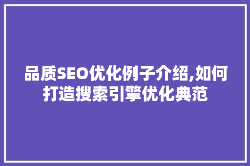 品质SEO优化例子介绍,如何打造搜索引擎优化典范