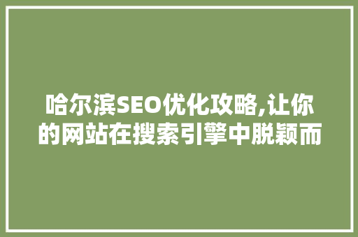 哈尔滨SEO优化攻略,让你的网站在搜索引擎中脱颖而出