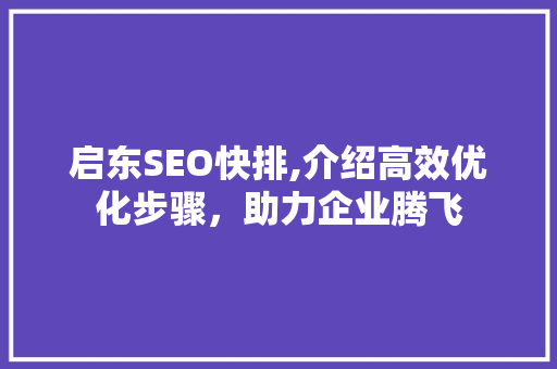 启东SEO快排,介绍高效优化步骤，助力企业腾飞