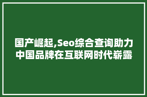 国产崛起,Seo综合查询助力中国品牌在互联网时代崭露头角