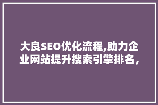 大良SEO优化流程,助力企业网站提升搜索引擎排名，抢占市场先机