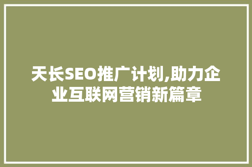 天长SEO推广计划,助力企业互联网营销新篇章