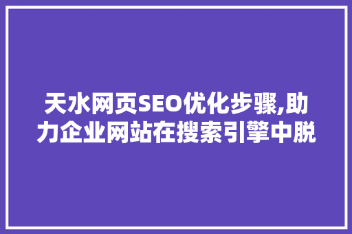 天水网页SEO优化步骤,助力企业网站在搜索引擎中脱颖而出