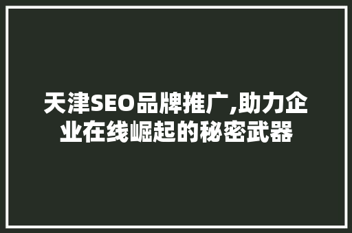 天津SEO品牌推广,助力企业在线崛起的秘密武器